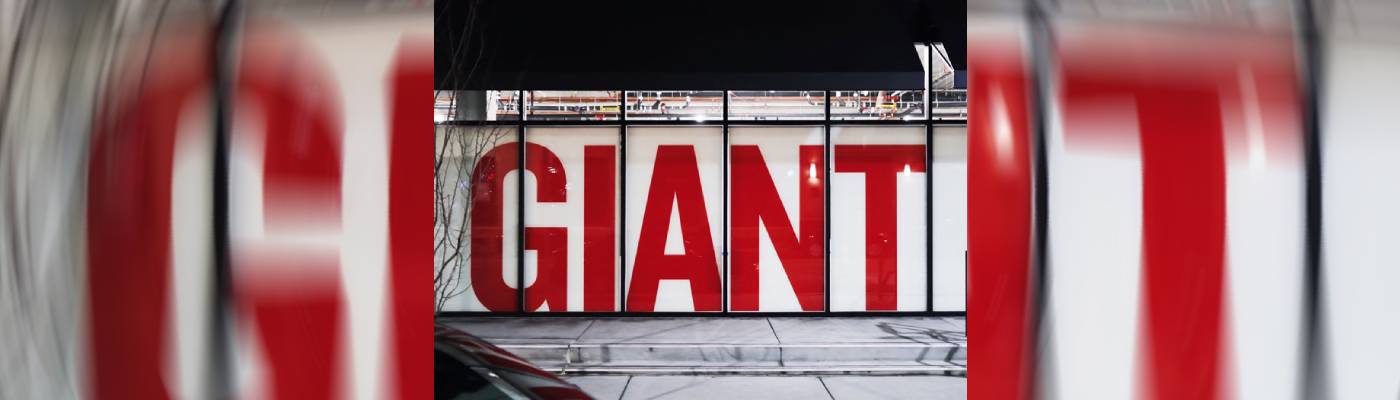 window graphic new banner