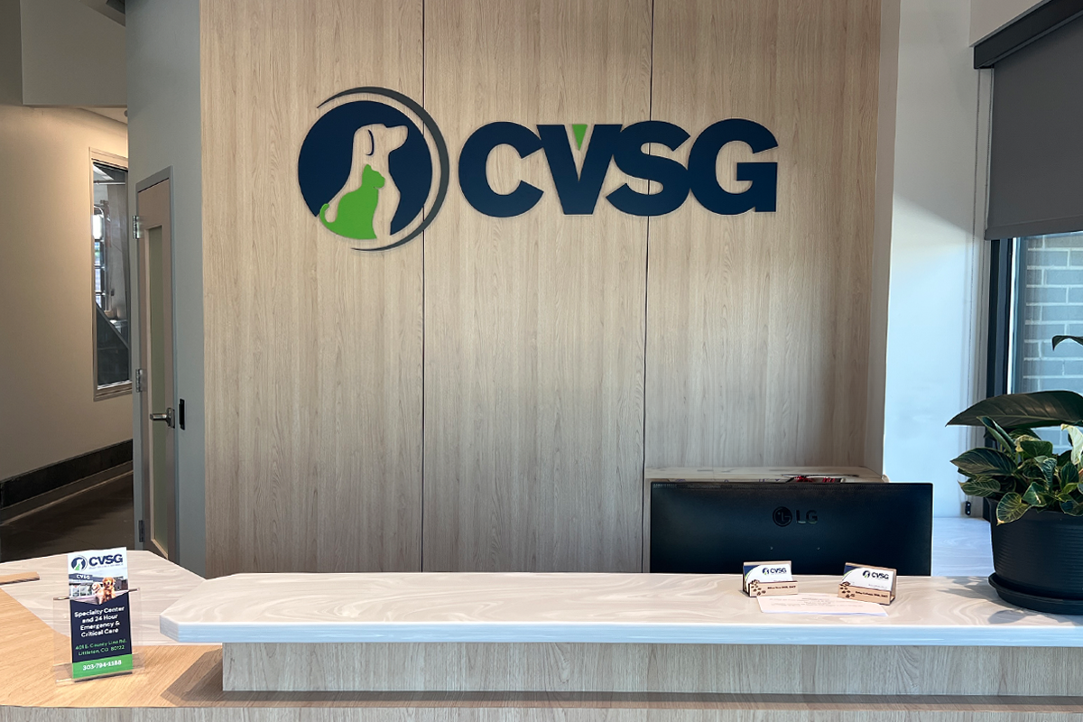 Custom indoor lobby sign in Denver commercial property showcasing branding and professional design that increases property value.